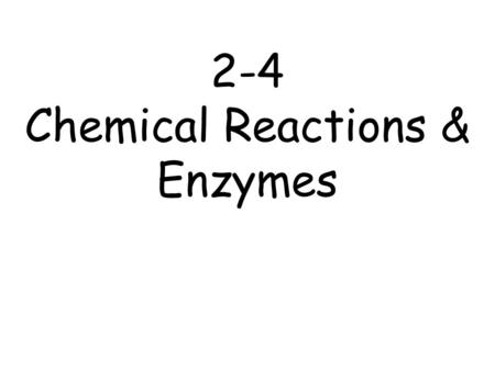 Chemical Reactions & Enzymes