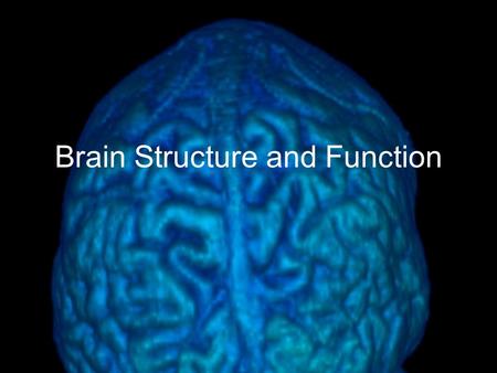 Brain Structure and Function