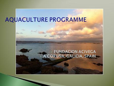 AQUACULTURE PROGRAMME AQUACULTURE PROGRAMME  FUNDACION ACIVEGA  A CORUÑA, GALICIA, SPAIN.