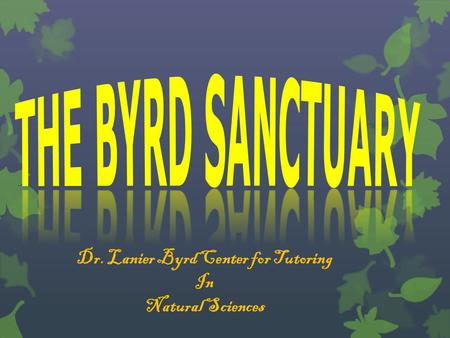 Dr. Lanier Byrd Center for Tutoring In Natural Sciences.