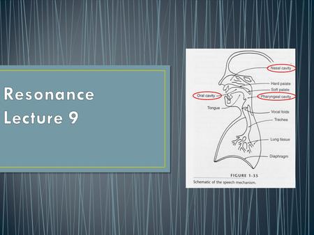 Pitch changes result from changing the length and tension of the vocal folds The pitch you produce is based on the number of cycles per second Hertz (Hz)