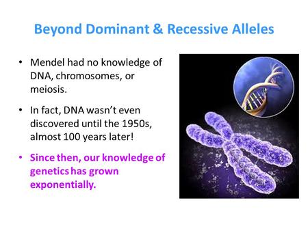 Beyond Dominant & Recessive Alleles