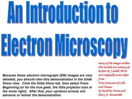 Because these electron micrograph (EM) images are very detailed, you should view this demonstration in the Slide Show view. Click the Slide Show tab, then.