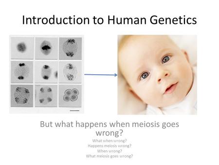 Introduction to Human Genetics