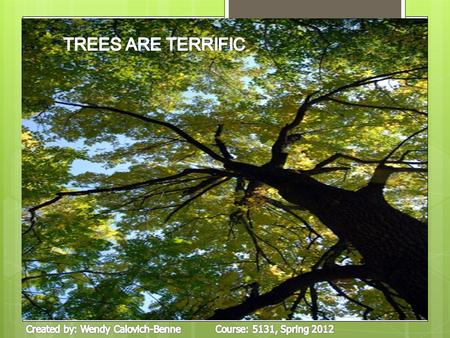 The lesson will begin in the classroom. Students will go on an adventure outside to collect differed sizes and shapes of leaves from various trees.