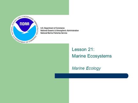 Lesson 21: Marine Ecosystems Marine Ecology