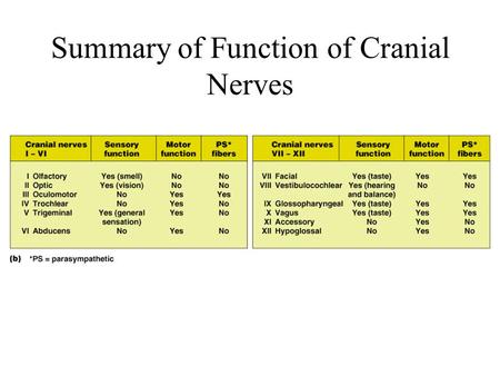 Summary of Function of Cranial Nerves