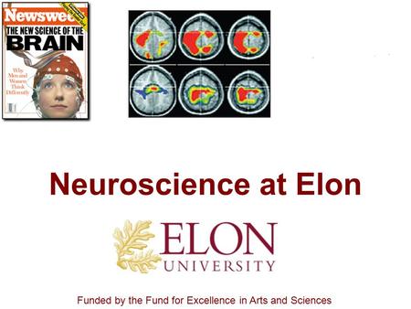 Neuroscience at Elon Funded by the Fund for Excellence in Arts and Sciences.