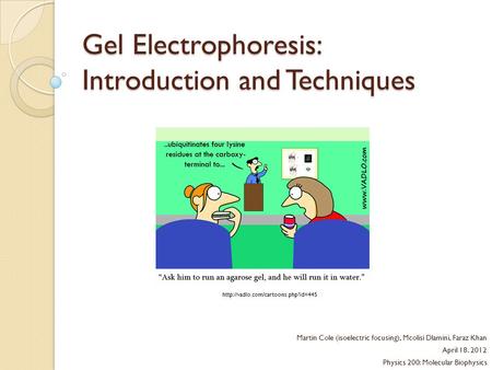 Gel Electrophoresis: Introduction and Techniques