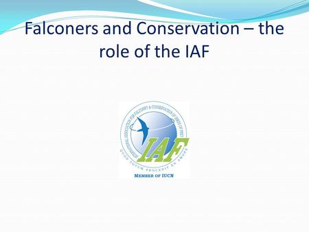 Falconers and Conservation – the role of the IAF.