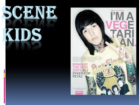 Scene kids usually go to local shows have extremly tight groups. They may be there for the music but usually they are there for the social time. Scene.