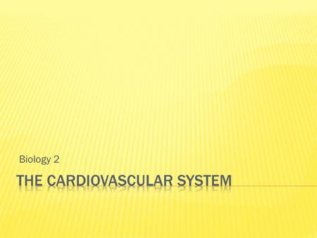 Biology 2.  https://www.youtube.com/watch?v=gVY04NQU pxk https://www.youtube.com/watch?v=gVY04NQU pxk  How does this video relate to the heart?  What.