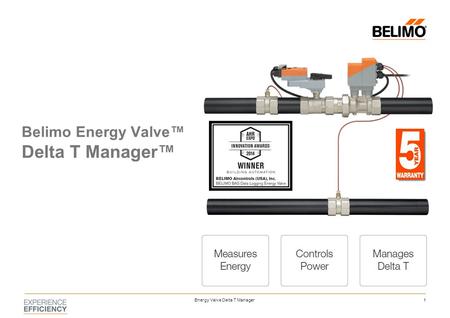 Energy Valve Delta T Manager