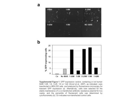 1-68M 1-6M X-29M 1-42M 1-9M NO MAR a b Supplemental Figure 1. GFP expression vectors, containing or not human MAR 1-68, 1-6, X-29, 1-9 or 1-42 (Girod et.