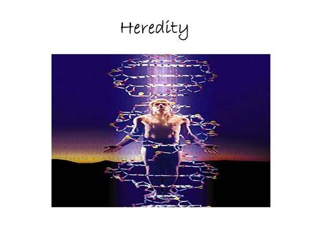 Heredity.