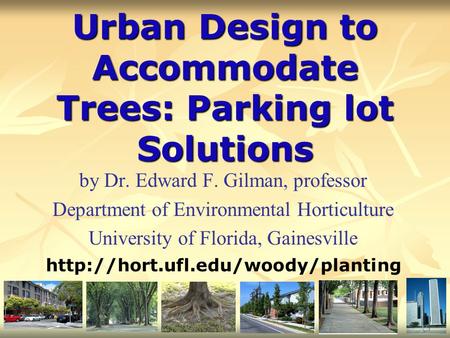 Urban Design to Accommodate Trees: Parking lot Solutions by Dr. Edward F. Gilman, professor Department of Environmental Horticulture University of Florida,