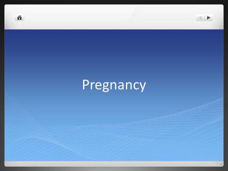 Pregnancy. Fertilization During intercourse, millions of sperm are released from the male and into the female. Only about 100 sperm will make its way.