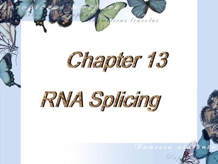 Outline  Introduction  The chemistry of RNA Splicing  The Splicing Machinery  Splicing Pathway  Alternative Splicing  Exon Shuffling  RNA Editing.