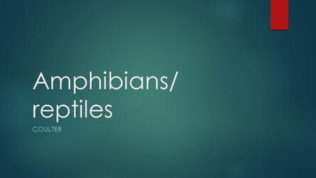 Amphibians/ reptiles Coulter.