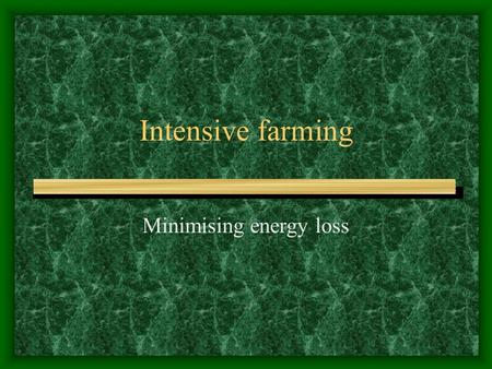 Intensive farming Minimising energy loss Intensive farms are profitable Maximise output by various methods Specially bred animals for high growth rates.