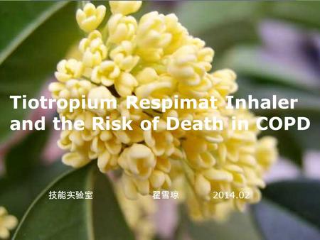 Tiotropium Respimat Inhaler and the Risk of Death in COPD 技能实验室 翟雪琼 2014.02.