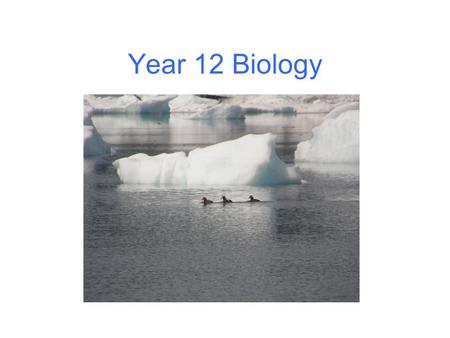 Year 12 Biology. Diversity and change Ecosystems change – Abiotic factors may vary – eg light, water, temperature, salinity, tides These may vary cyclically.