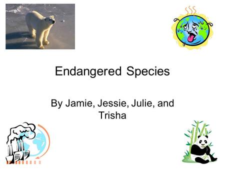 Endangered Species By Jamie, Jessie, Julie, and Trisha.