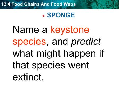 13.4 Food Chains And Food Webs SPONGE Name a keystone species, and predict what might happen if that species went extinct.