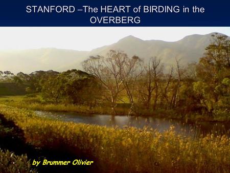 STANFORD –The HEART of BIRDING in the OVERBERG by Brummer Olivier.