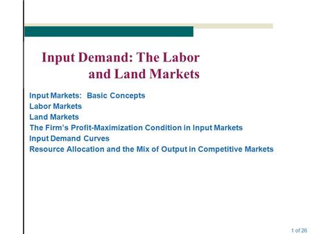 Input Demand: The Labor and Land Markets