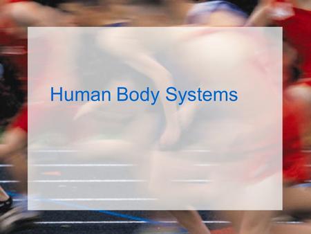 Human Body Systems.