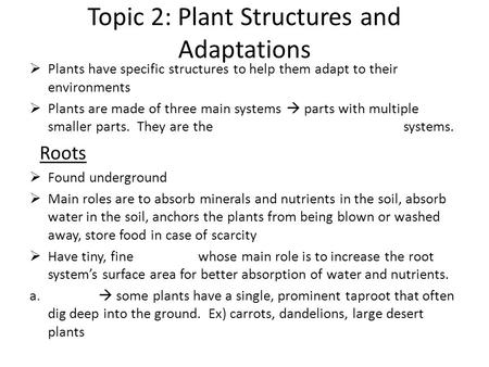 Topic 2: Plant Structures and Adaptations  Plants have specific structures to help them adapt to their environments  Plants are made of three main systems.