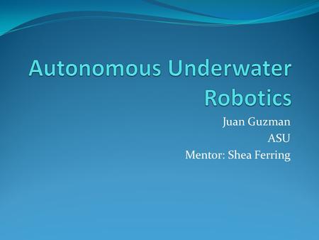 Juan Guzman ASU Mentor: Shea Ferring. About Me Name: Juan Guzman Computer Science major ASU Senior (graduating December 2012) Have prior internship with.