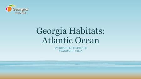 Georgia Habitats: Atlantic Ocean