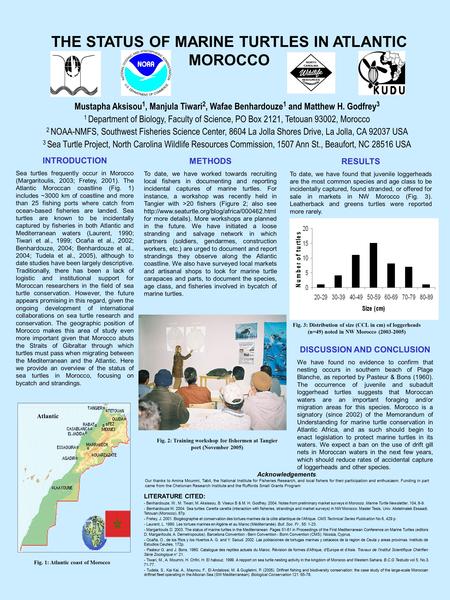 THE STATUS OF MARINE TURTLES IN ATLANTIC MOROCCO Mustapha Aksisou 1, Manjula Tiwari 2, Wafae Benhardouze 1 and Matthew H. Godfrey 3 1 Department of Biology,