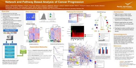 Network and Pathway Based Analysis of Cancer Progression Jason E. McDermott 1, Vladislav A. Petyuk 1, Feng Yang 1, Marina A. Gritsenko 1, Matthew E. Monroe.