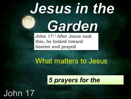 John 17: 1 After Jesus said this, he looked toward heaven and prayed What matters to Jesus 5 prayers for the Church.