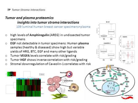 TP Tumor-Stroma Interactions Tumor and plasma proteomics insights into tumor stroma interactions 109 luminal human breast cancer specimens+plasma o high.