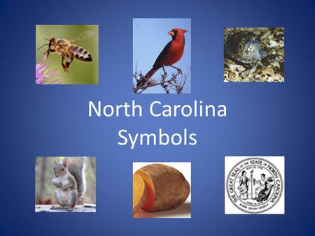 North Carolina Symbols. What is North Carolina’s state drink? Milk became the state beverage (drink) in 1987. Did you know that NC produces just over.