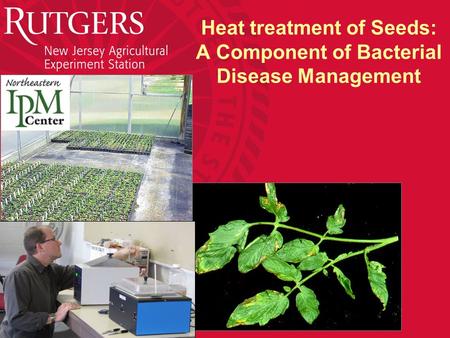 Heat treatment of Seeds: A Component of Bacterial Disease Management.