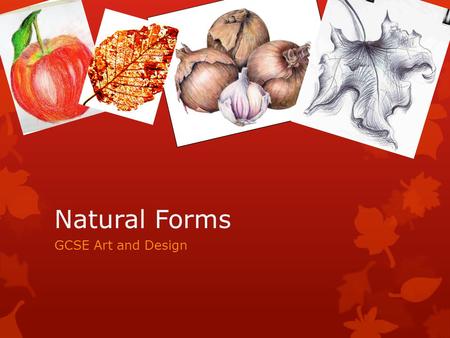 Natural Forms GCSE Art and Design.