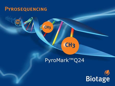 PyroMark™Q24.