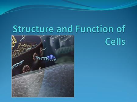 Structure and Function of Cells