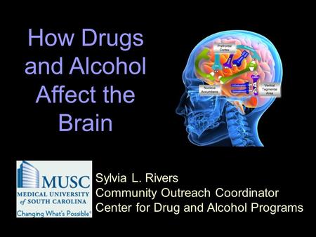 Sylvia L. Rivers Community Outreach Coordinator Center for Drug and Alcohol Programs How Drugs and Alcohol Affect the Brain.