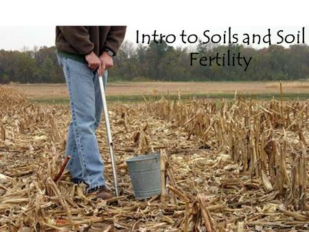 Intro to Soils and Soil Fertility. What is Soil? Provides air, water and nutrients to plants Soil provides mechanical support to plants Consists of.