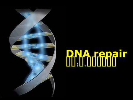 DNA repair by:S.Solali.