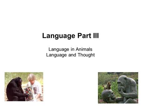 Language Part III Language in Animals Language and Thought.