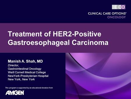 Treatment of HER2-Positive Gastroesophageal Carcinoma