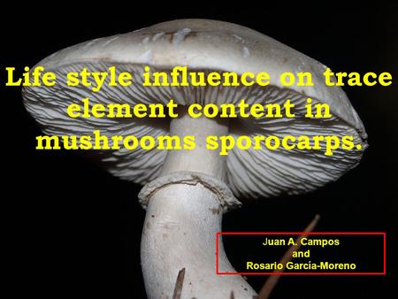 Life style influence on trace element content in mushrooms sporocarps. Juan A. Campos and Rosario García-Moreno.