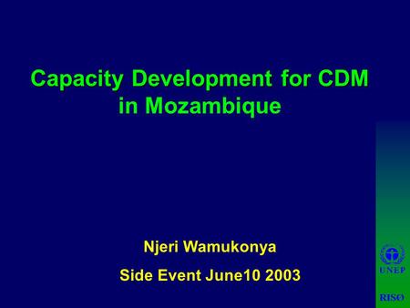 Capacity Development for CDM Capacity Development for CDM in Mozambique Njeri Wamukonya Side Event June10 2003.